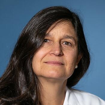 Dr. Maria Cicchetti profile image
