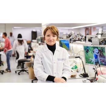 Dr. Cristina Antonescu profile image