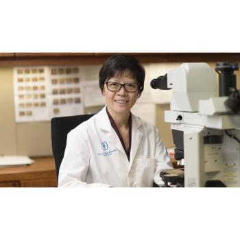 Dr. Hong Zhang profile image